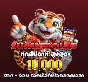 HOTZA888 แตกง่าย